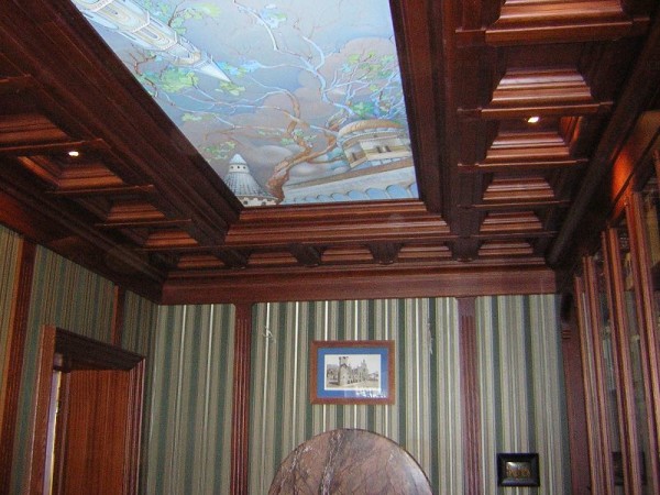 Plafond combiné avec rétro-éclairage