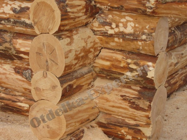 Maçonnerie coupée Maçonnerie coupée