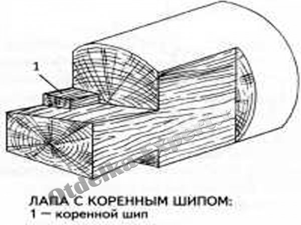 Le schéma de l'appareil de la pointe de la racine Le schéma de l'appareil de la pointe de la racine