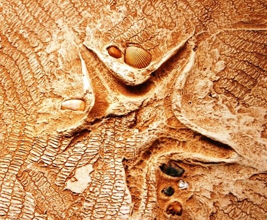 Convient pour la décoration extérieure et intérieure Convient pour la décoration extérieure et intérieure