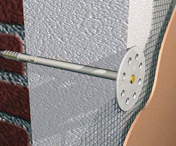 Schéma d'attachement des champignons Schéma d'attachement des champignons