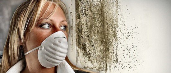 Les spores de moisissure pénètrent dans l'air et il devient dangereux de respirer Les spores de moisissure pénètrent dans l'air et il devient dangereux de respirer