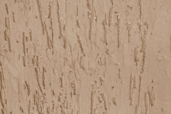 La texture du plâtre du scolyte La texture du plâtre du scolyte