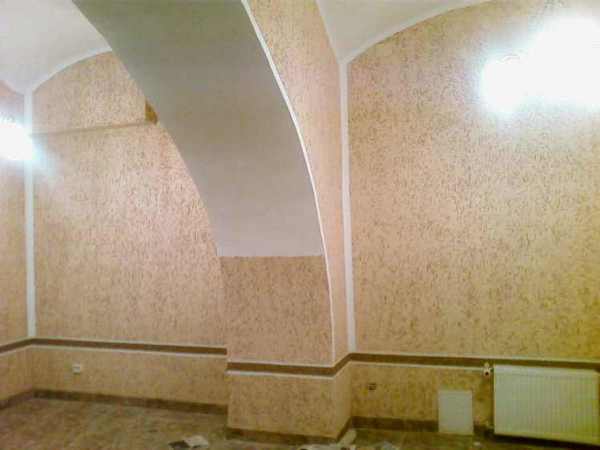 Scarabée de l'écorce à l'intérieur Scarabée de l'écorce à l'intérieur