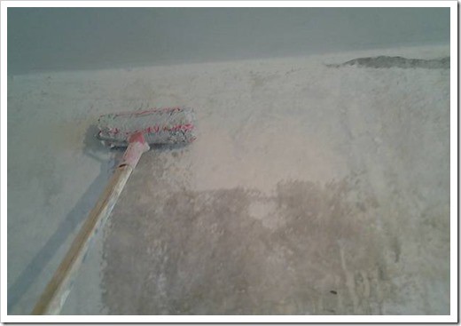 Rouleau manche long Rouleau manche long