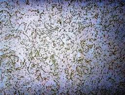 Variété de manteau décoratif Variété de manteau décoratif