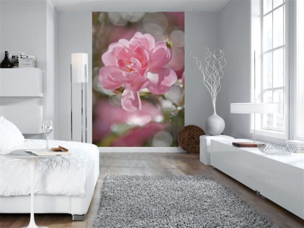 Papiers peints avec l'image d'une seule fleur, à l'intérieur du salon Papiers peints avec l'image d'une seule fleur, à l'intérieur du salon