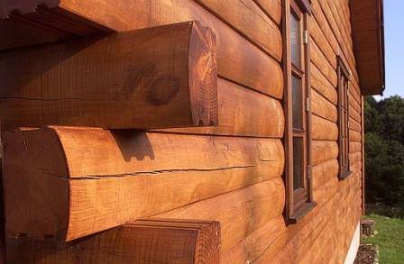 Comment peindre un arbre dans la rue