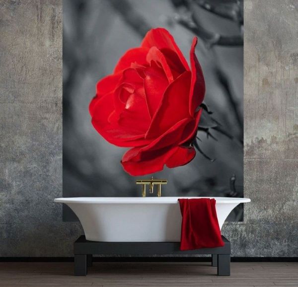 Accent lumineux avec papier peint photo dans un intérieur de salle de bain moderne