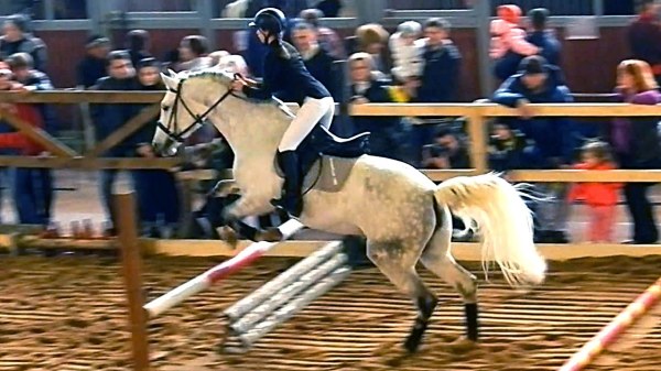 Une murale avec l'image des sports équestres s'intégrera dans n'importe quel intérieur Une murale avec l'image des sports équestres s'intégrera dans n'importe quel intérieur