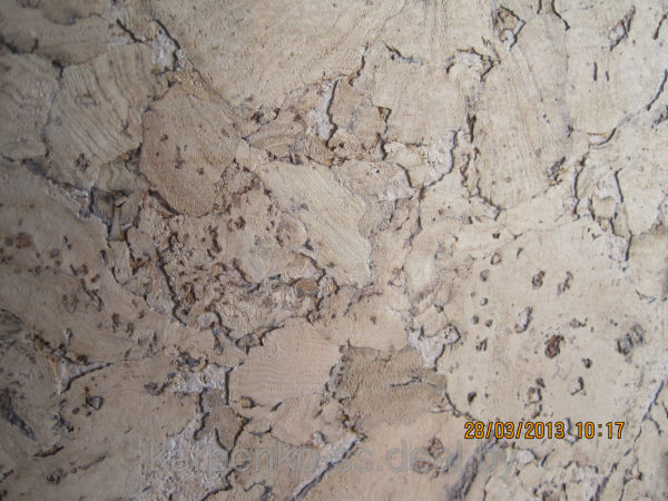 Liège gris clair avec un motif caractéristique d'écorce de chêne Liège gris clair avec un motif caractéristique d'écorce de chêne