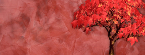 Stuc décoratif sur béton cellulaire Stuc décoratif sur béton cellulaire