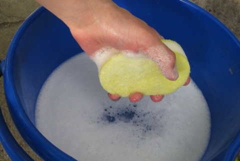 Papier peint non tissé pour enfants, soin. Papier peint non tissé pour enfants, soin.