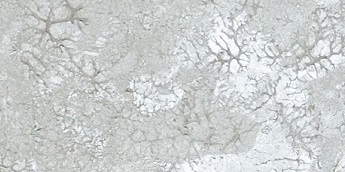 Modèle de revêtement Modèle de revêtement