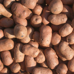 Argile expansée: argile expansée