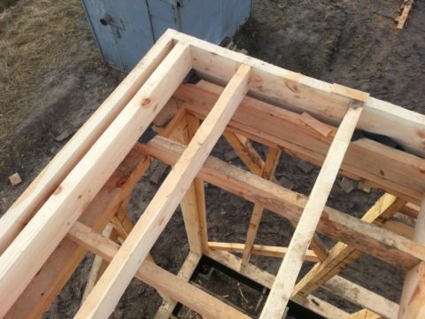 Filaire - Vue de dessus