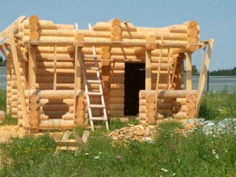 Cabane en rondins